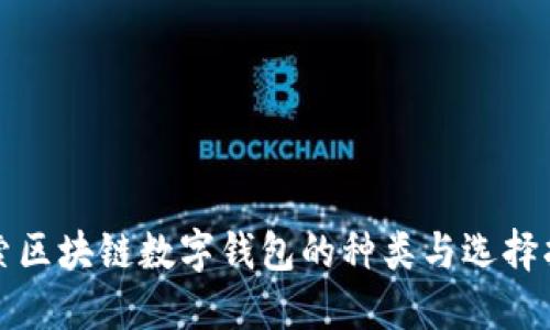 探索区块链数字钱包的种类与选择指南