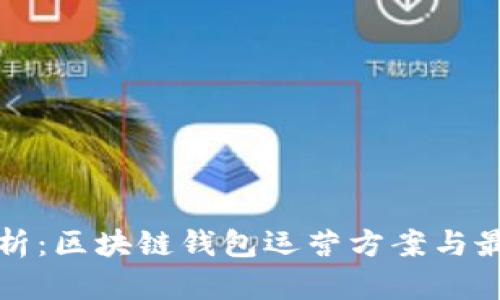 全面解析：区块链钱包运营方案与最佳实践