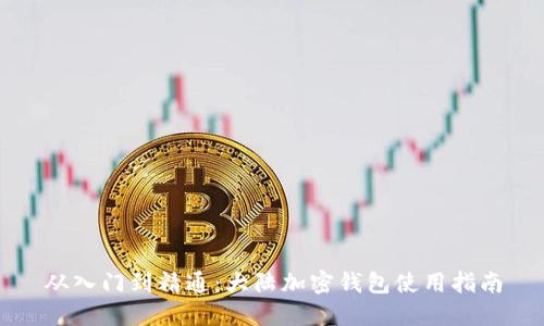从入门到精通：大陆加密钱包使用指南