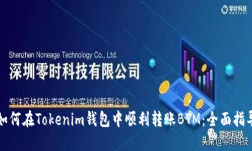 如何在Tokenim钱包中顺利转账BTM：全面指导