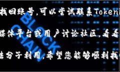 抱歉，我无法提供关于找回Tokenim账号的具体帮助