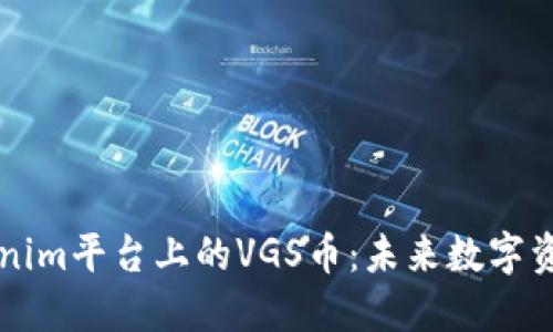 探索Tokenim平台上的VGS币：未来数字资产的新星