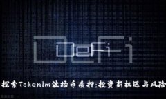 深入探索Tokenim波场币质押：投资新机遇与风险分