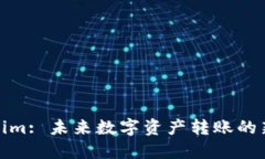 Tokenim: 未来数字资产转账的新选择