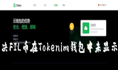 如何解决FIL币在Tokenim钱包中未显示的问题