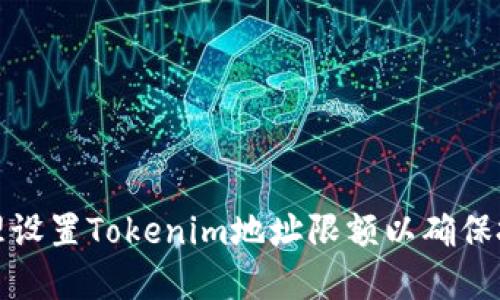 如何合理设置Tokenim地址限额以确保投资安全