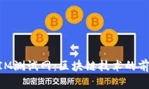 探索TokenIM测试网：区块链技术的前沿实验平台