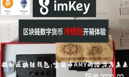揭秘区块链钱包：宝箱币AMY的潜力与未来
