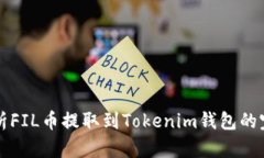 深入解析FIL币提取到Tokenim钱包的完整流程