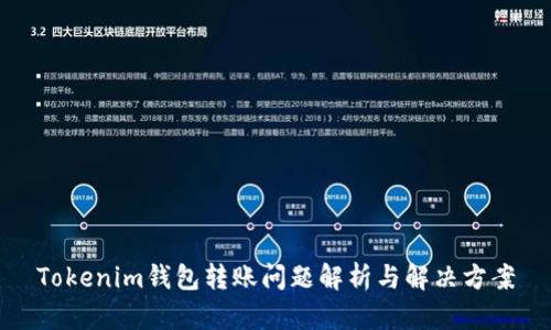 Tokenim钱包转账问题解析与解决方案