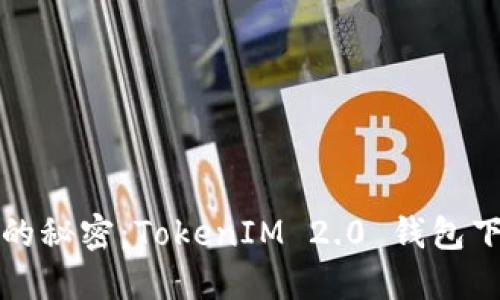 和关键词

解锁数字资产的秘密：TokenIM 2.0 钱包下载与使用指南