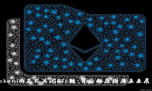 Tokenim正式关闭FIL链：背后的原因与未来展望