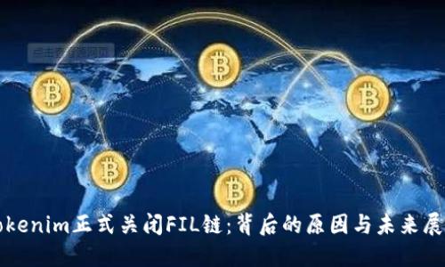 Tokenim正式关闭FIL链：背后的原因与未来展望