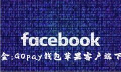 轻松掌握资金：GOpay钱包苹果客户端下载全面指南