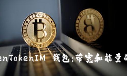 解密 TokenTokenIM 钱包：带宽和能量的科学管理
