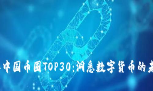 2023年中国币圈TOP30：洞悉数字货币的未来趋势