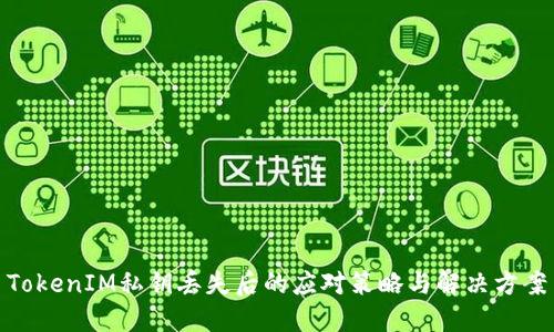 TokenIM私钥丢失后的应对策略与解决方案