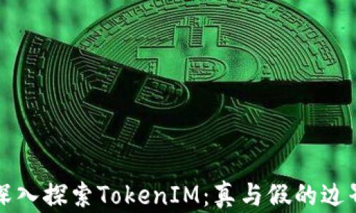 
深入探索TokenIM：真与假的边界