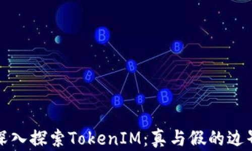 
深入探索TokenIM：真与假的边界