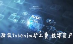 :如何有效降低Tokenim矿工费，数字资产交易成本